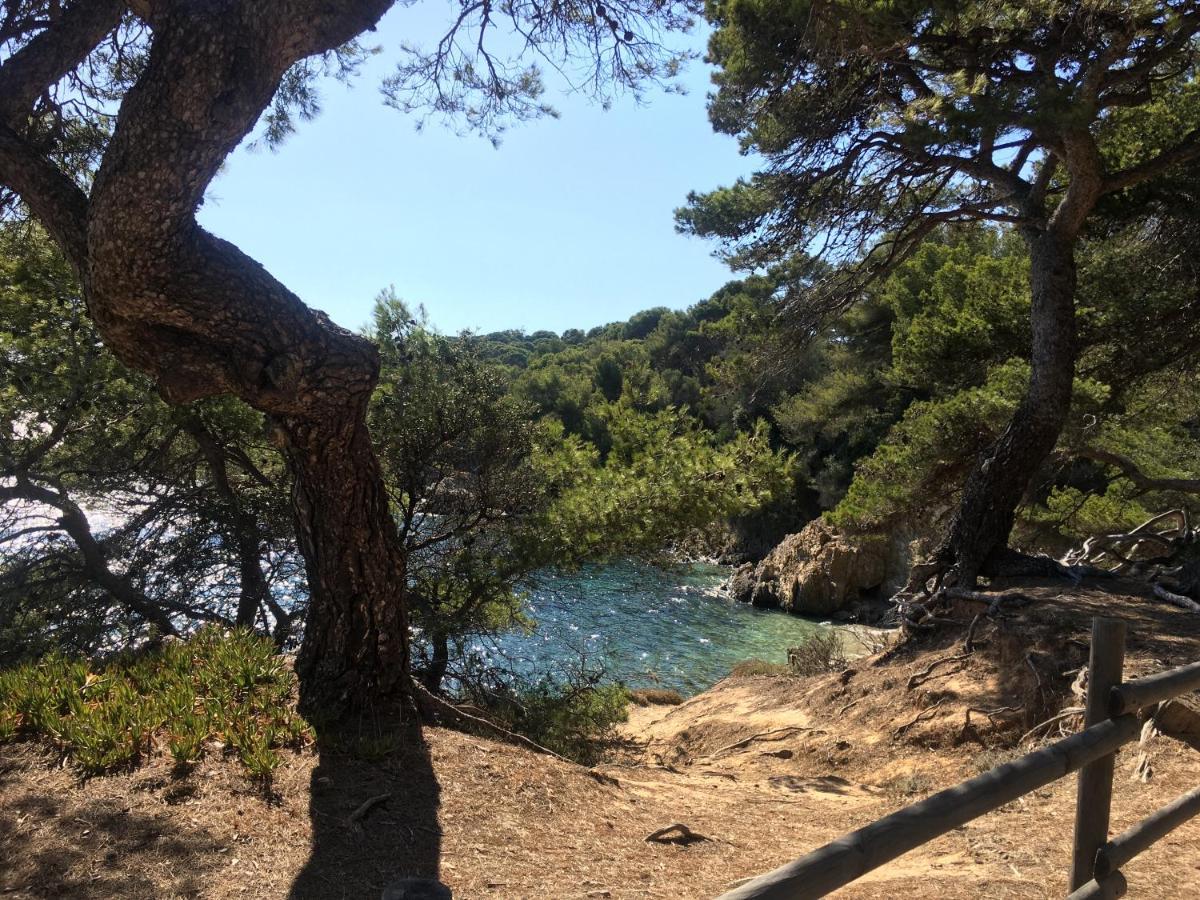 La Provence authentique à 30 minutes des plages Collobrières Exterior foto